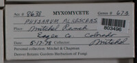 Image Associated With the Occurence